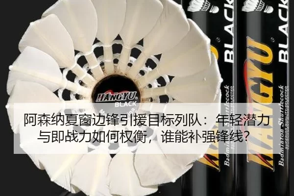 阿森纳夏窗边锋引援目标列队：年轻潜力与即战力如何权衡，谁能补强锋线？
